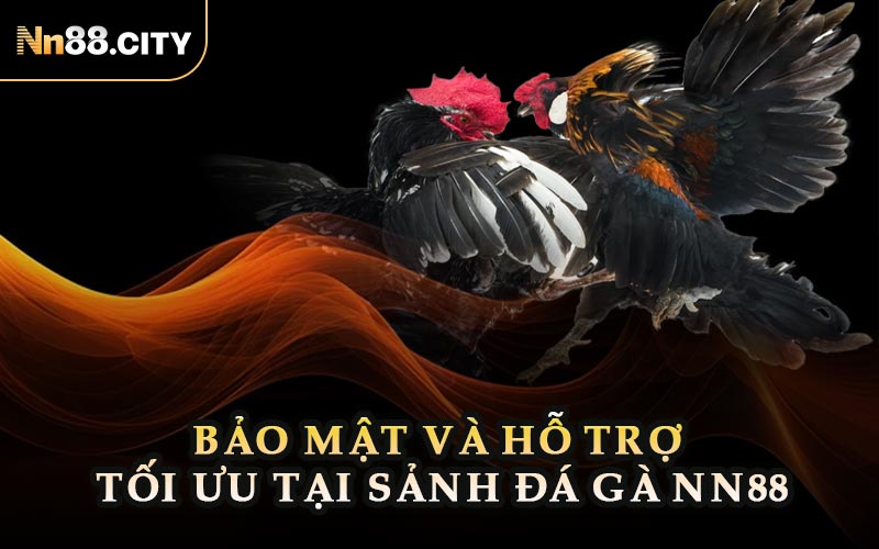 Bảo Mật Và Hỗ Trợ Tối Ưu Tại Sảnh Đá Gà NN88