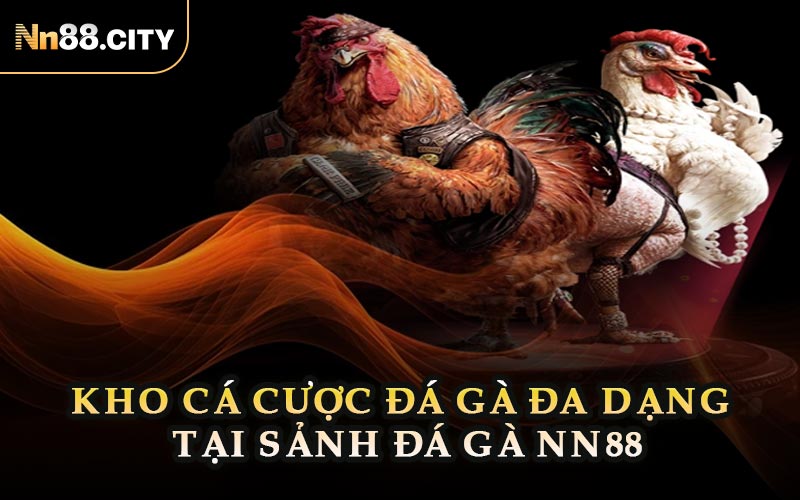 Kho Cá Cược Đá Gà Đa Dạng Tại Sảnh Đá Gà NN88